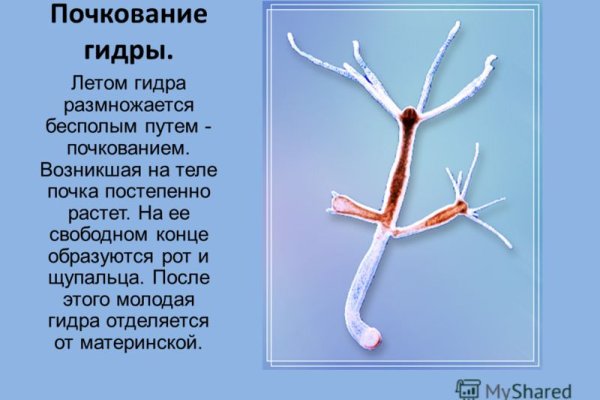 Что такое даркнет кракен