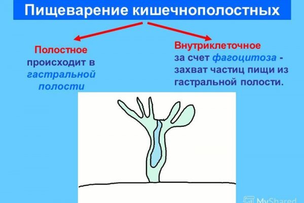 Кракен зеркала официальные