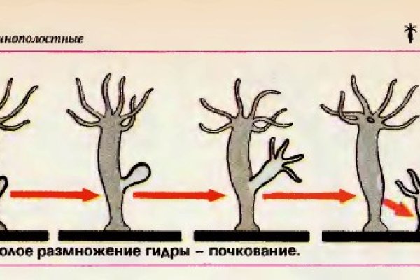 Кракен это современный даркнет маркет